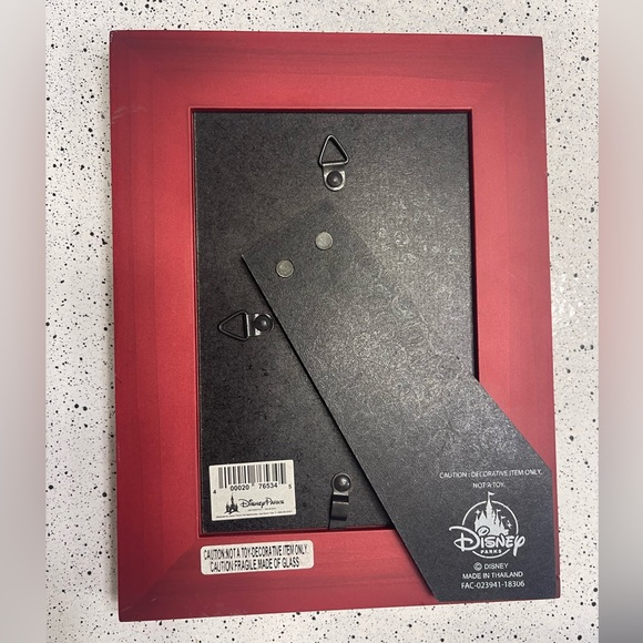 Disney parks picture frame - Picture 3 of 3